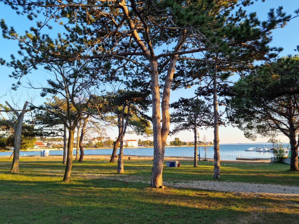 K9 Mobile Home Camp Dalmacija Privlaka Privlaka  Exteriör bild