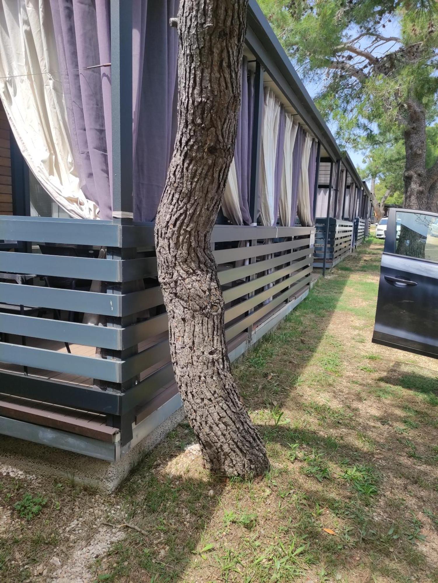 K9 Mobile Home Camp Dalmacija Privlaka Privlaka  Exteriör bild